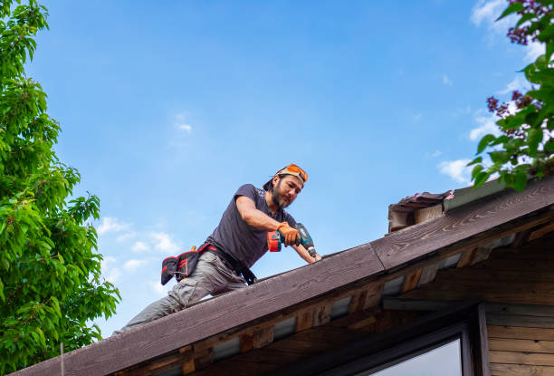 Steel Roofing in El Jebel, CO