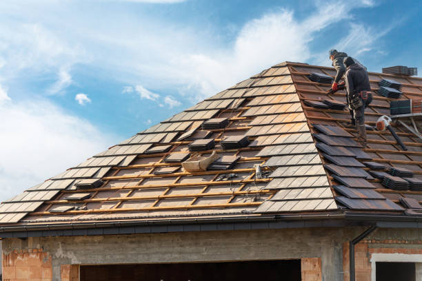 Best Roof Coating and Sealing  in El Jebel, CO