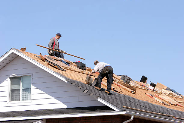 Best Roof Maintenance and Cleaning  in El Jebel, CO